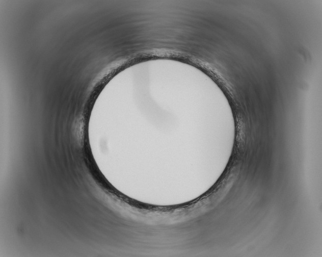 X0000113040016200909241444