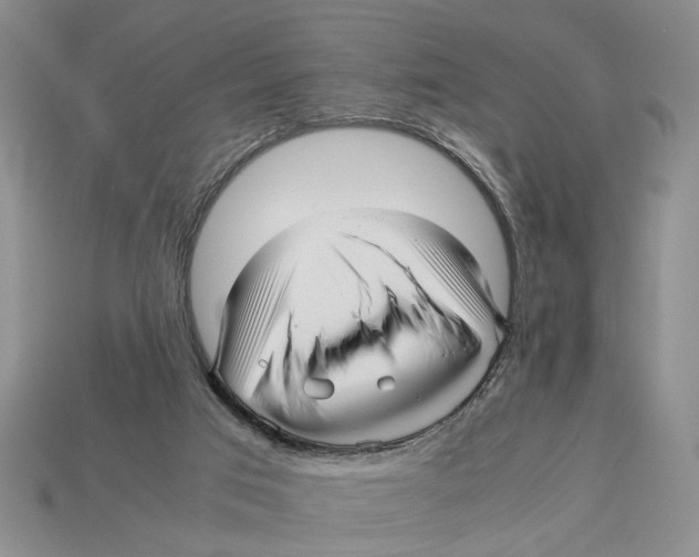 X0000113040017200909241444