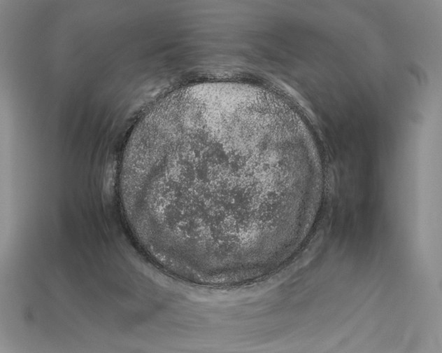 X0000113040018200909241444