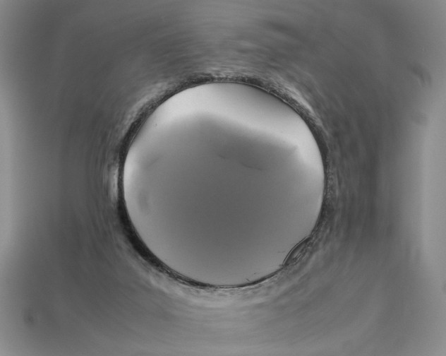 X0000113040019200909241444