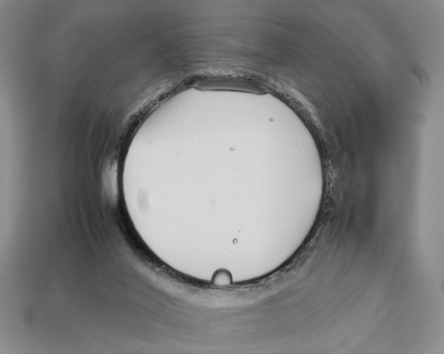X0000113040020200909241444