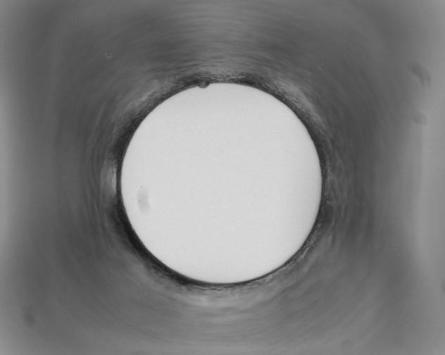 X0000113040021200909241444