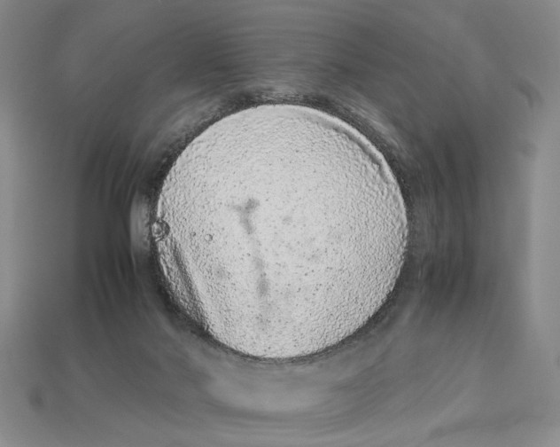 X0000113040022200909241444