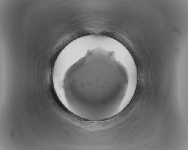 X0000113040023200909241444