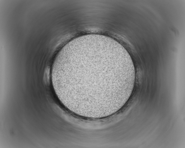X0000113040024200909241444