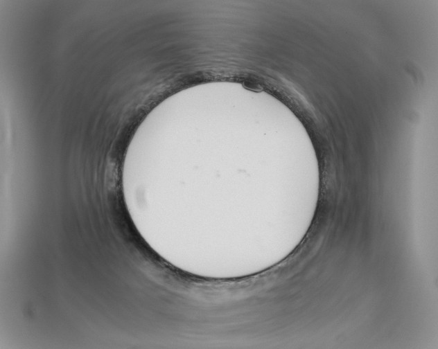 X0000113040025200909241444