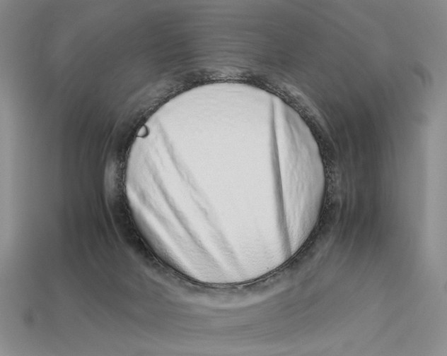 X0000113040026200909241444