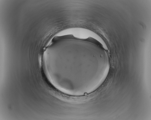 X0000113040027200909241444
