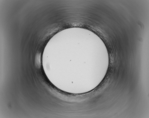X0000113040028200909241444