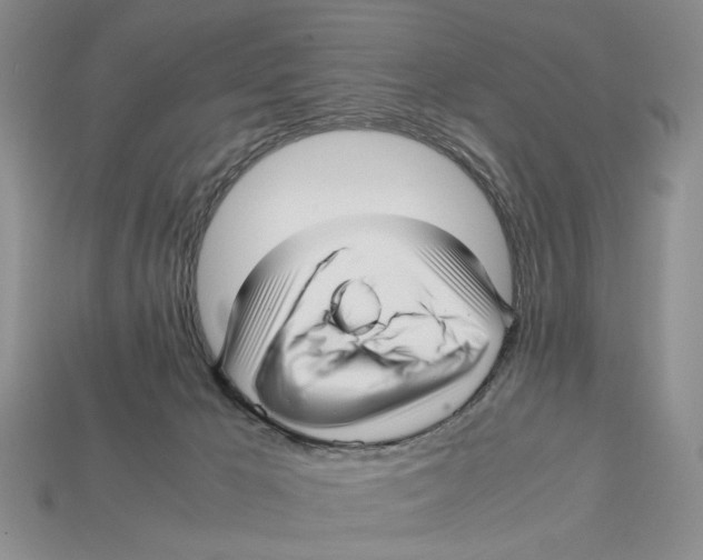 X0000113040029200909241444