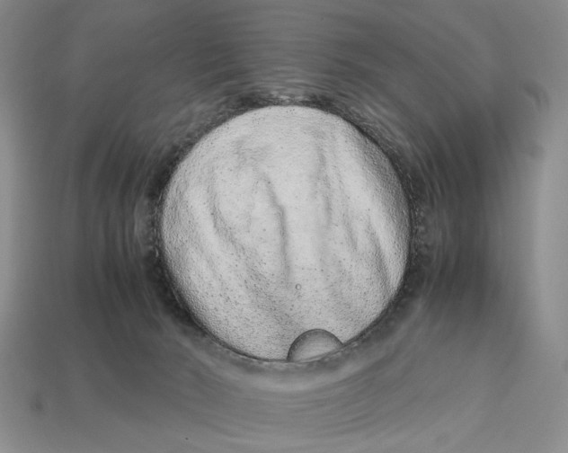 X0000113040030200909241444