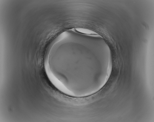 X0000113040031200909241444