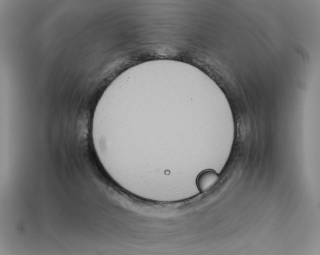 X0000113040032200909241444