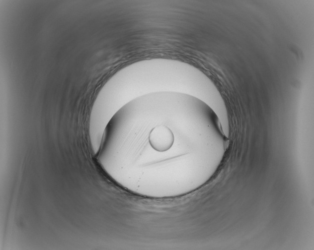 X0000113040033200909241443