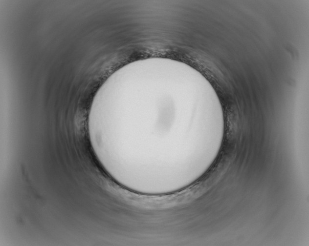 X0000113040034200909241443