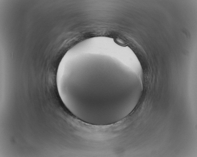 X0000113040035200909241443