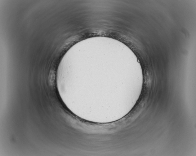 X0000113040036200909241443