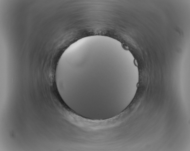X0000113040039200909241443