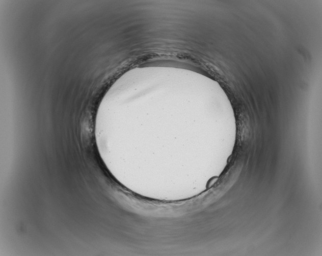 X0000113040040200909241443