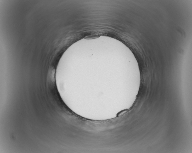 X0000113040041200909241443