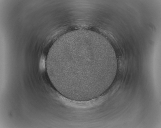 X0000113040042200909241443