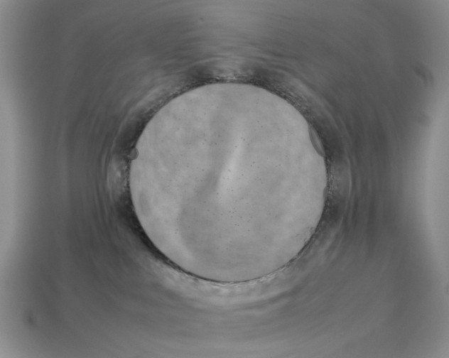 X0000113040043200909241443