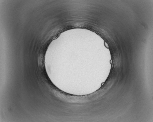 X0000113040044200909241443