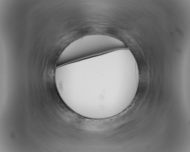X0000113040045200909241443