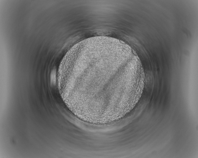 X0000113040046200909241443