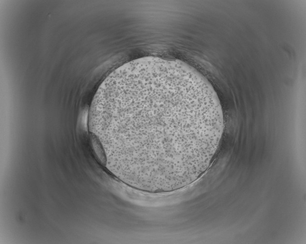 X0000113040047200909241443