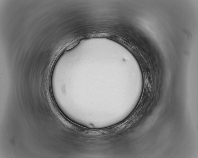 X0000113040049200909241443