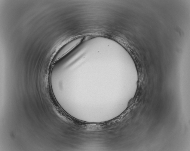 X0000113040050200909241443