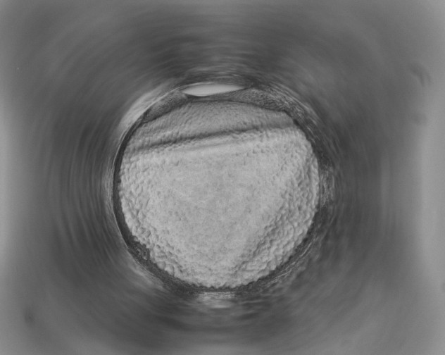 X0000113040051200909241443