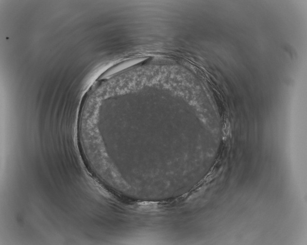 X0000113040052200909241443