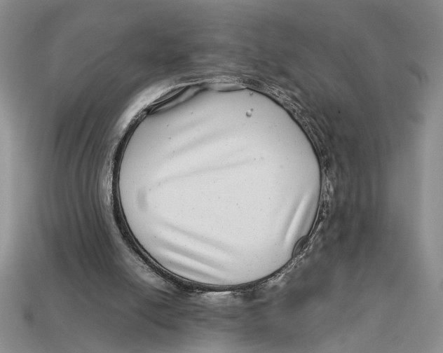 X0000113040054200909241443