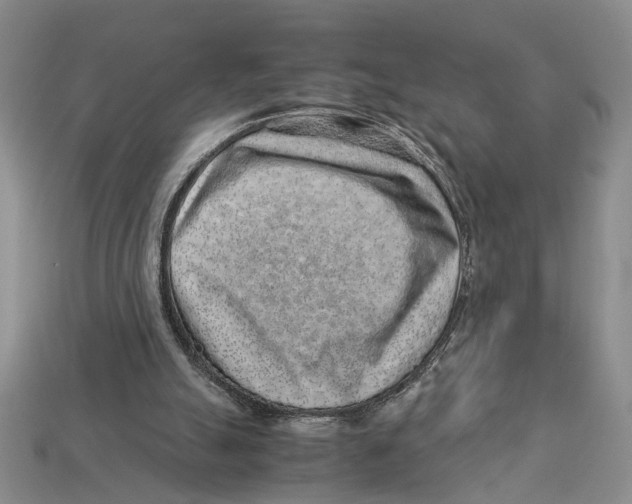X0000113040055200909241443