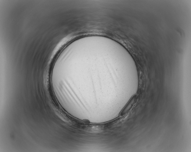 X0000113040056200909241443