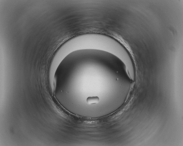 X0000113040057200909241443