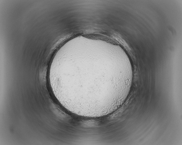 X0000113040058200909241443