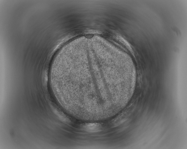 X0000113040059200909241443