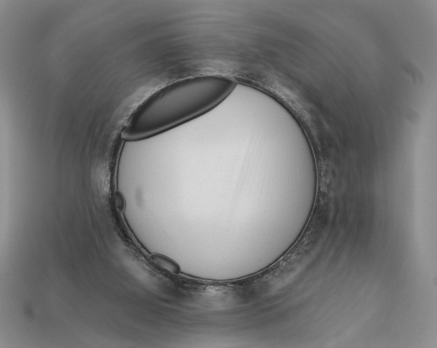 X0000113040060200909241443