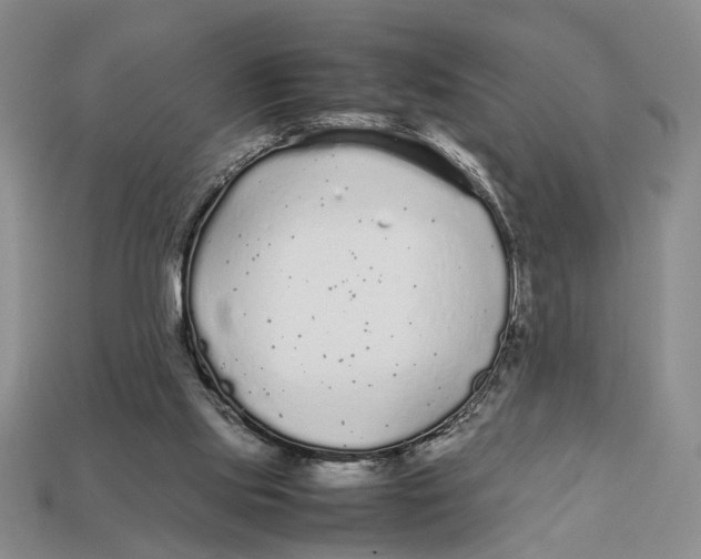 X0000113040061200909241443