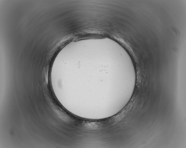 X0000113040062200909241443