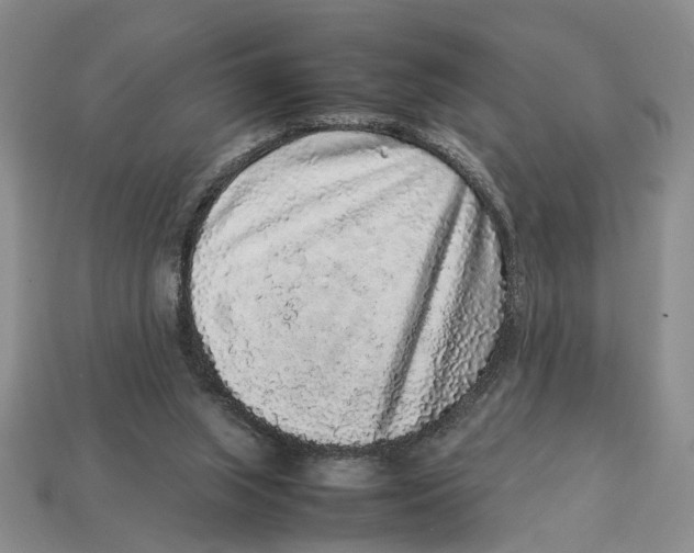 X0000113040063200909241443
