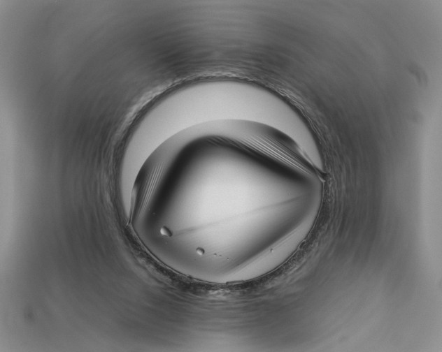 X0000113040064200909241443