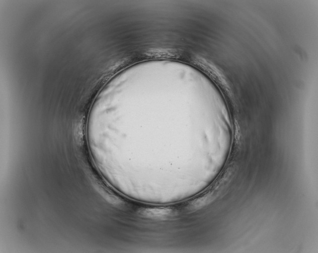 X0000113040065200909241443