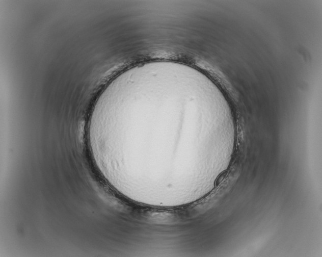 X0000113040066200909241443