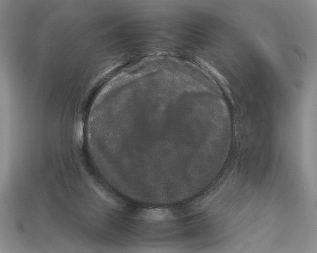 X0000113040067200909241443