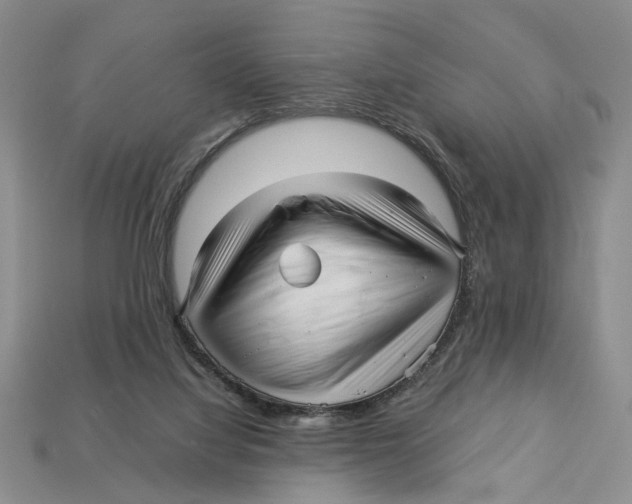 X0000113040068200909241443