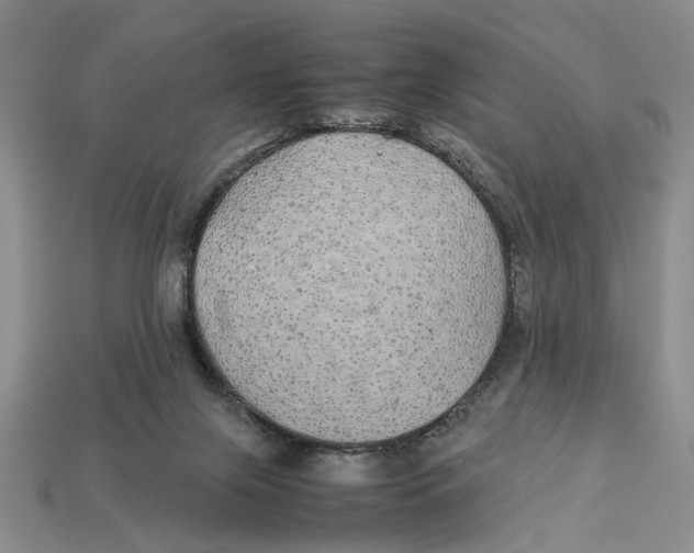 X0000113040071200909241443